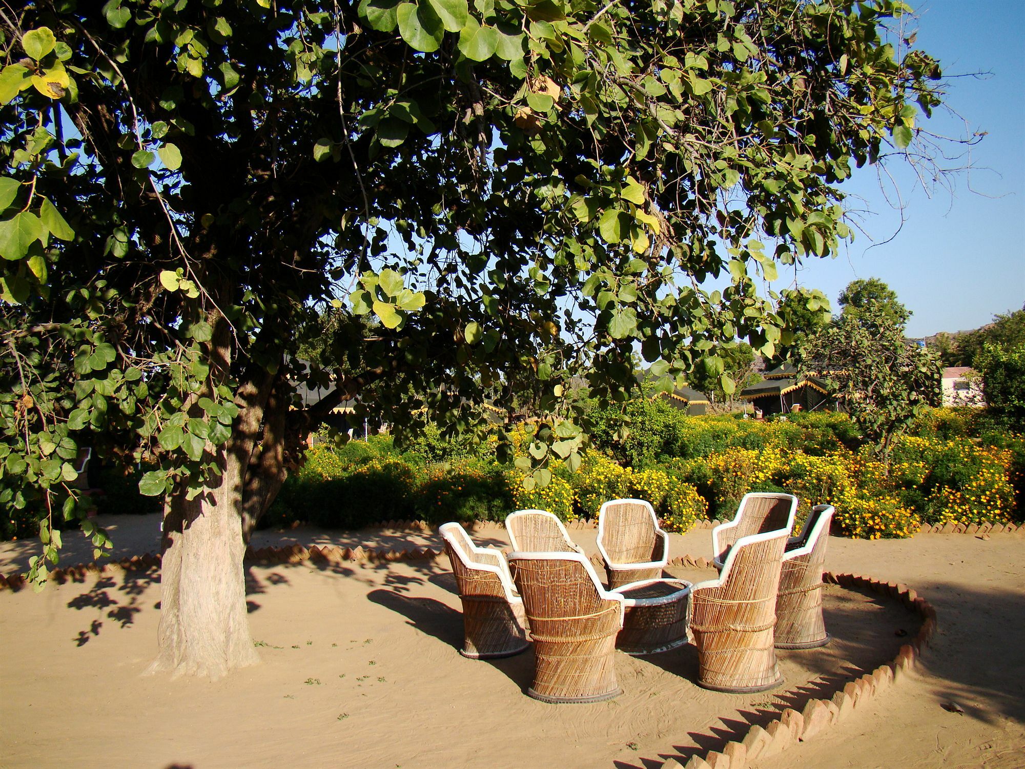 Orchard Tents & Tranquility Pushkar Extérieur photo