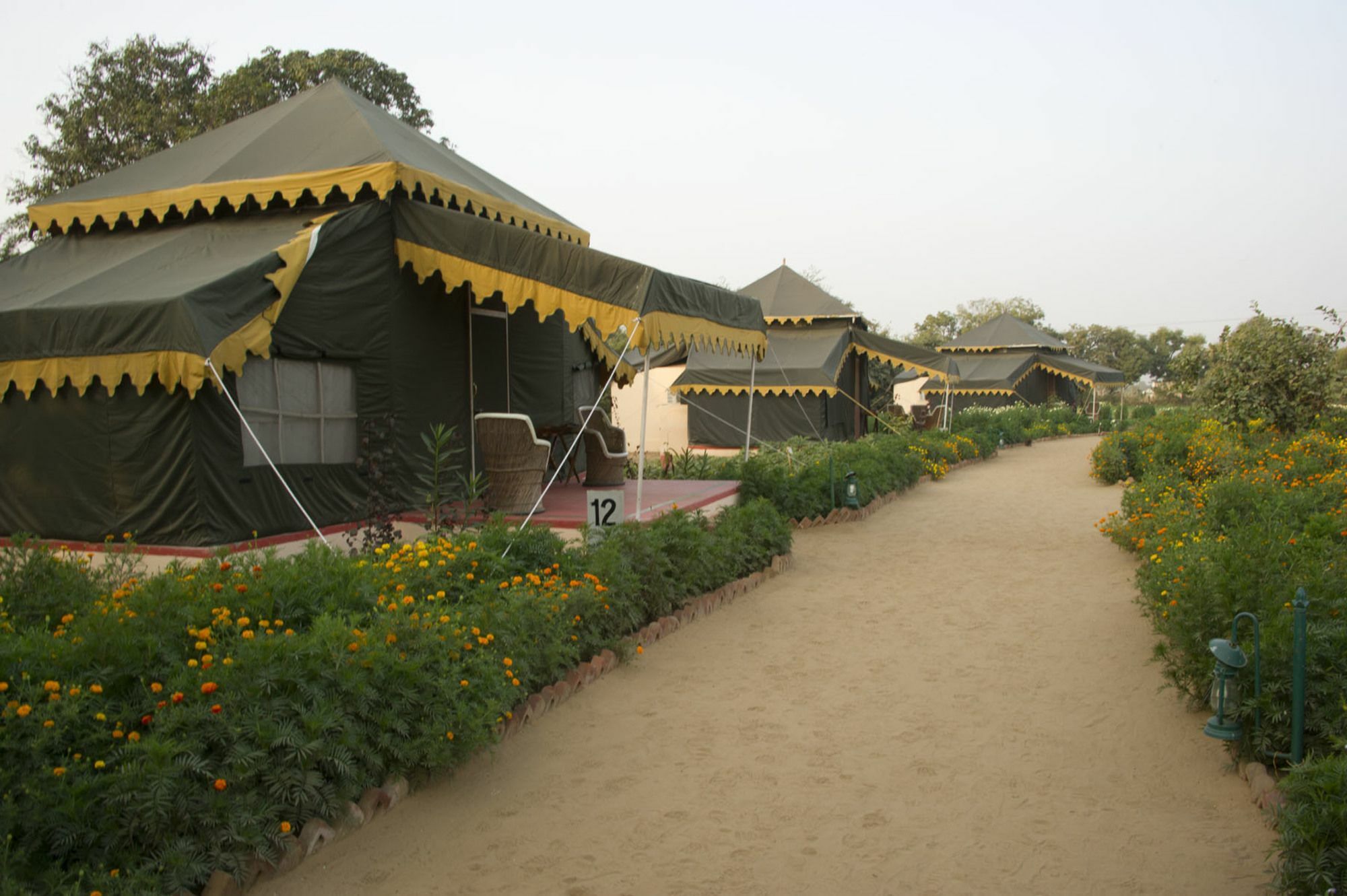Orchard Tents & Tranquility Pushkar Extérieur photo